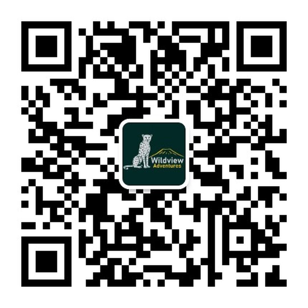 WeChat QR Code